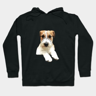 Jack Russell Terrier Rough Cuteness Hoodie